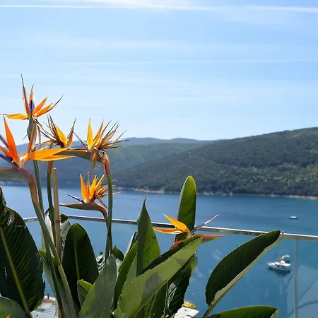 Panorama Apartament *